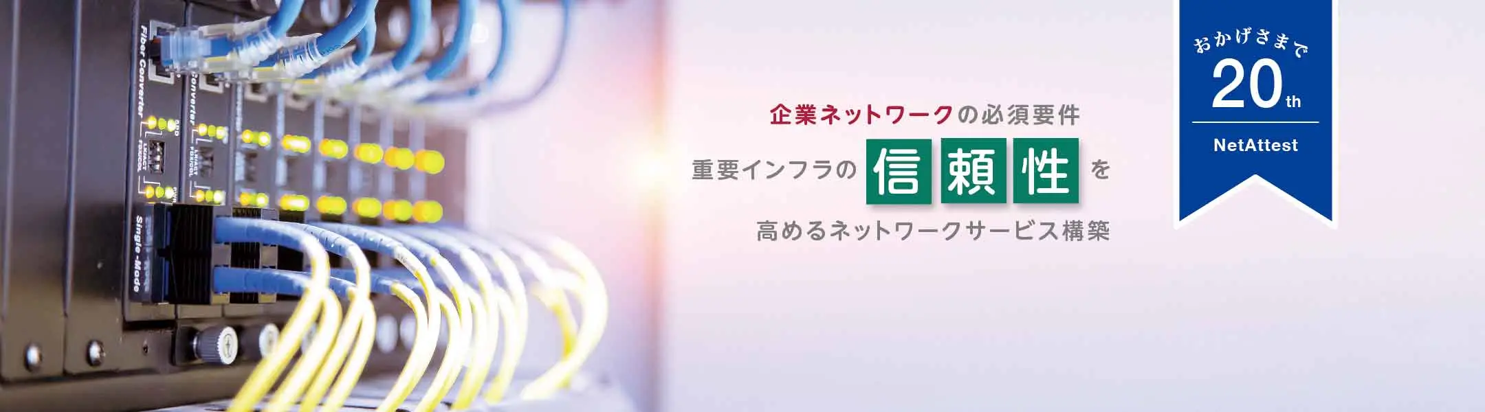 【20周年】企業ネットワークの必須要件 重要インフラの信頼性を高めてくれる ネットワークサービスを運用する方法のコピーの画像